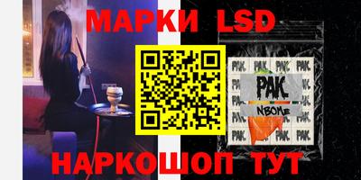 индика Гагарин