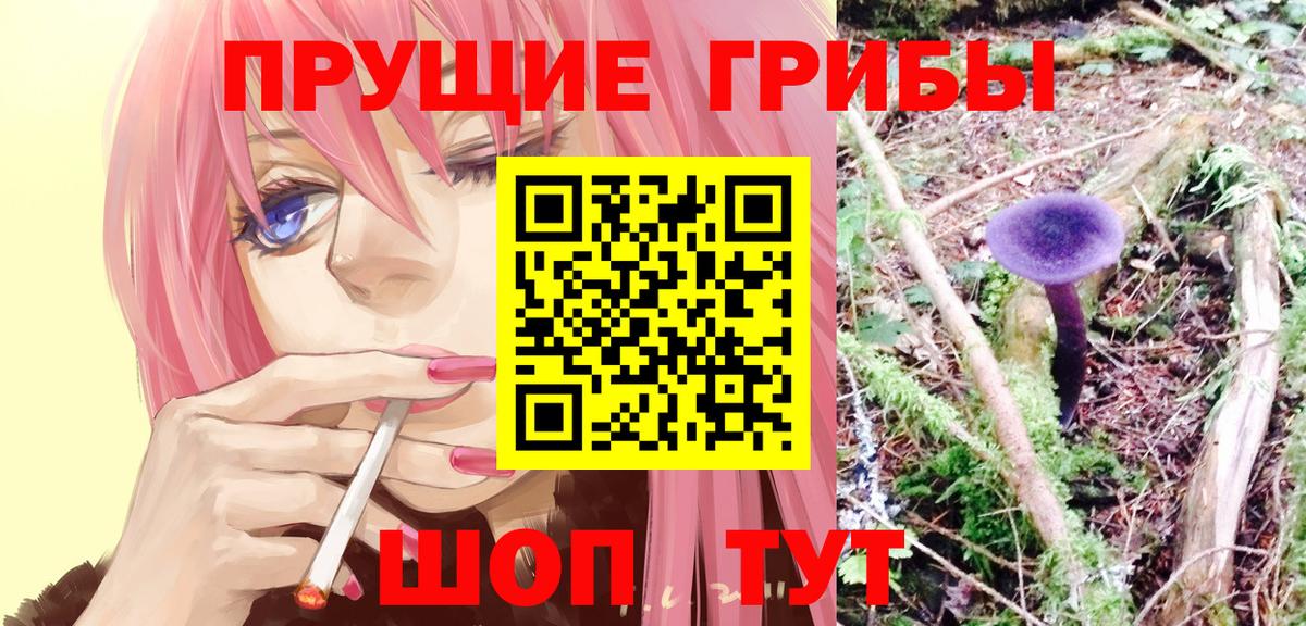Псилоцибиновые грибы Magic Shrooms  Псилоцибиновые грибы мицелий  Ревда  Вход с VPN 
